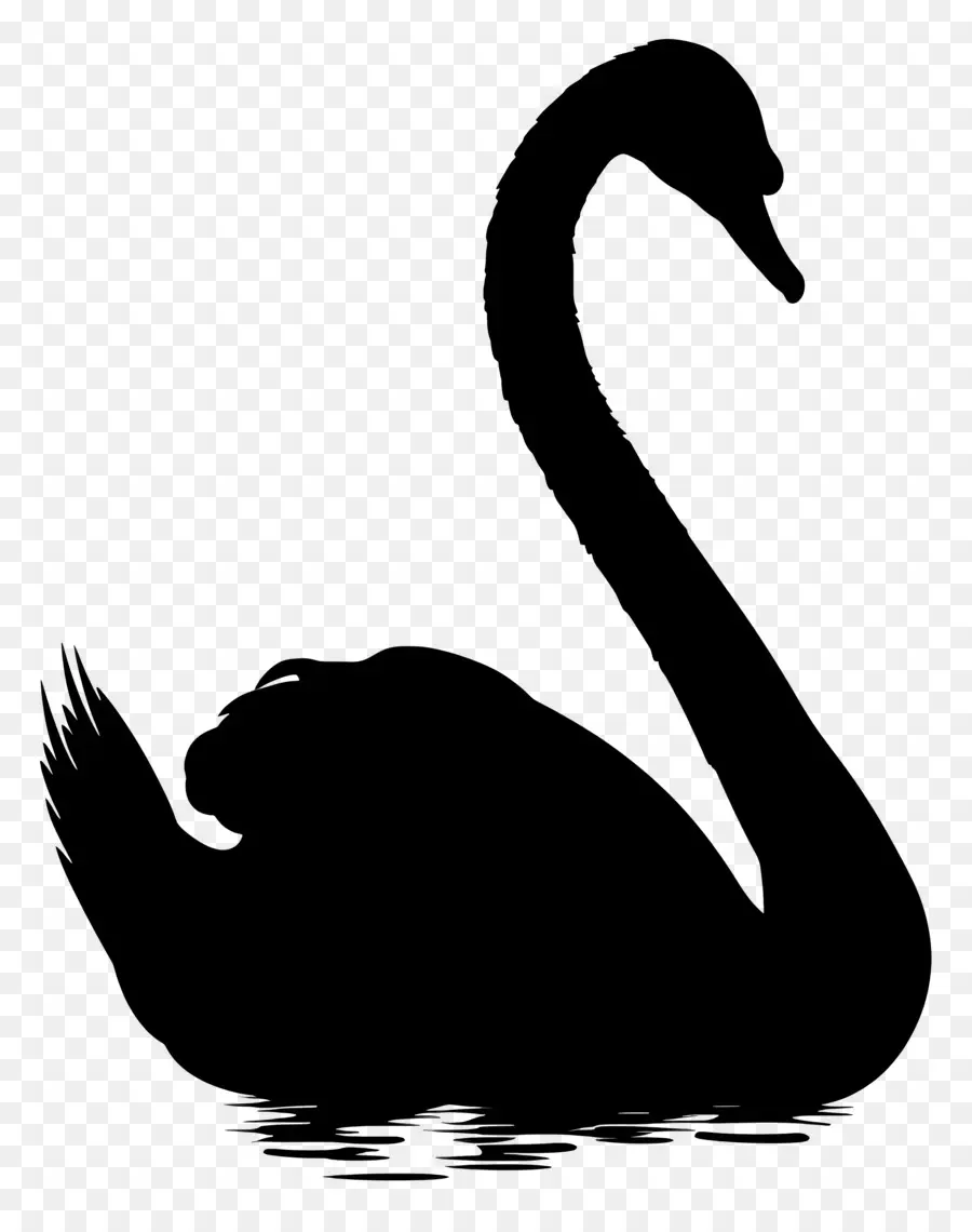 Silueta De Cisne，Cisne Negro PNG