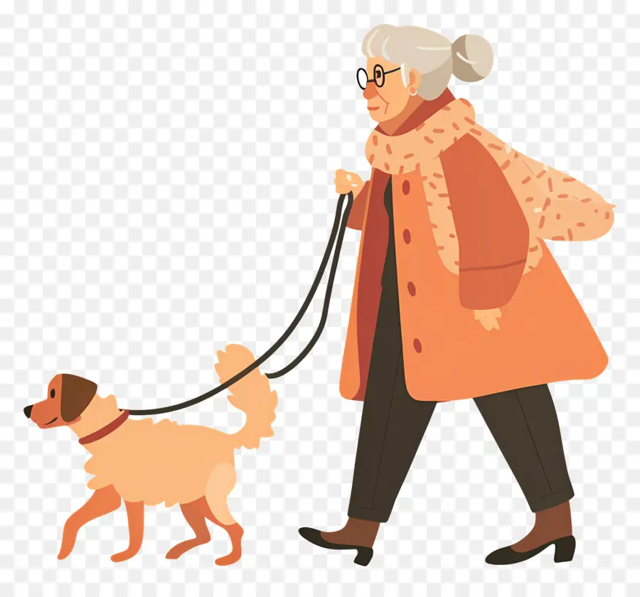 Anciana Paseando Perro，Anciana PNG