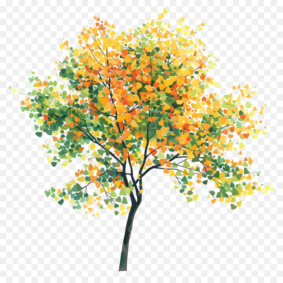 Follaje De árbol，árbol Colorido PNG