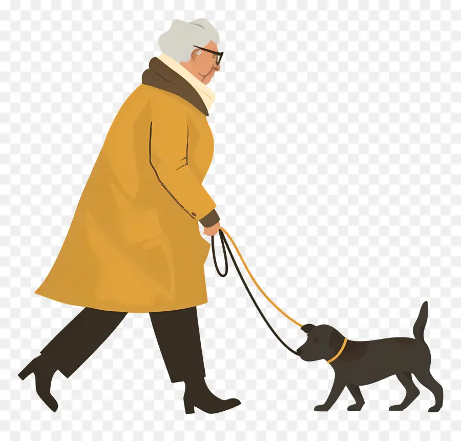 Anciana Paseando Perro，Persona Paseando Perro PNG