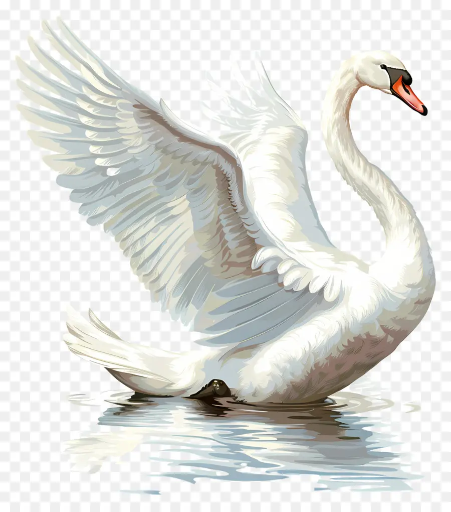 Cisne Blanco，Cisne PNG