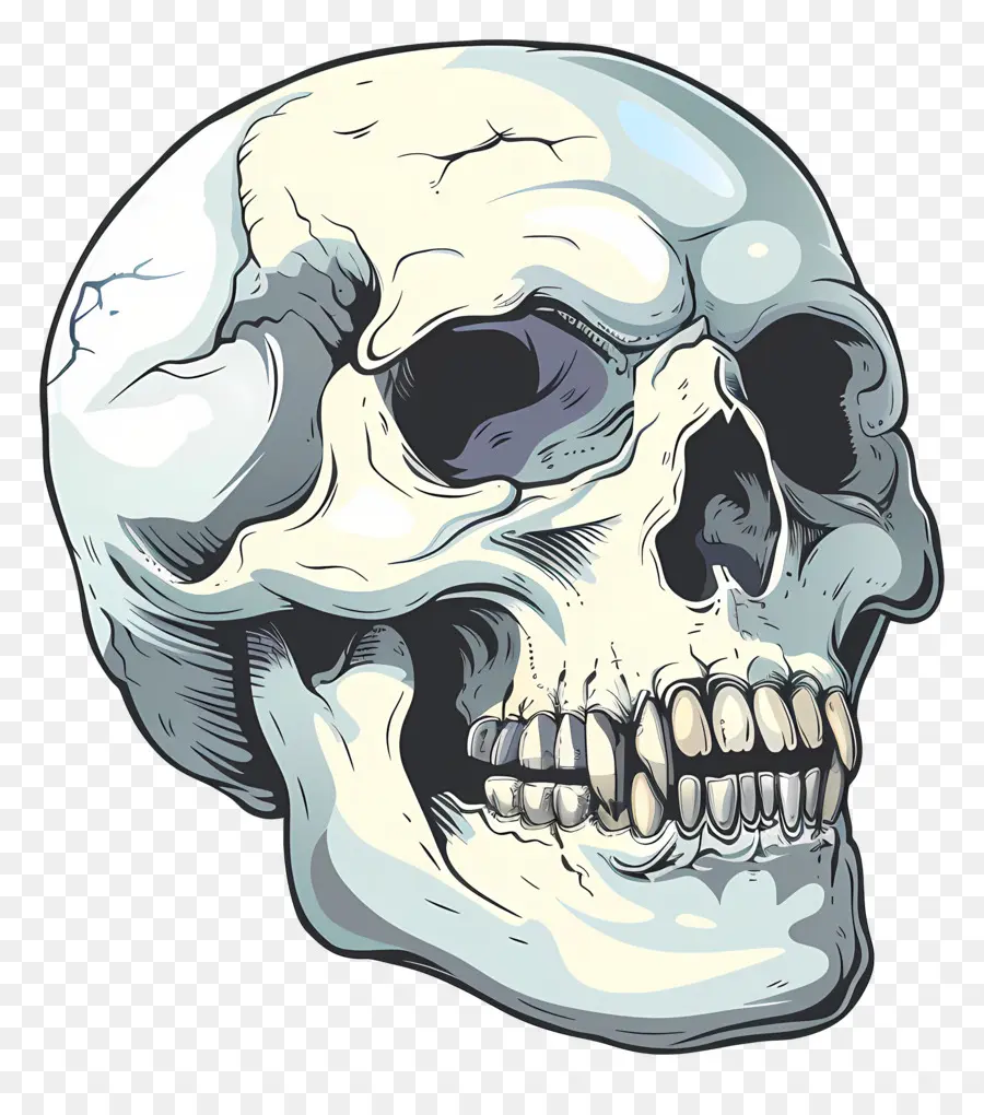 Calavera Aterradora，Cráneo Humano PNG