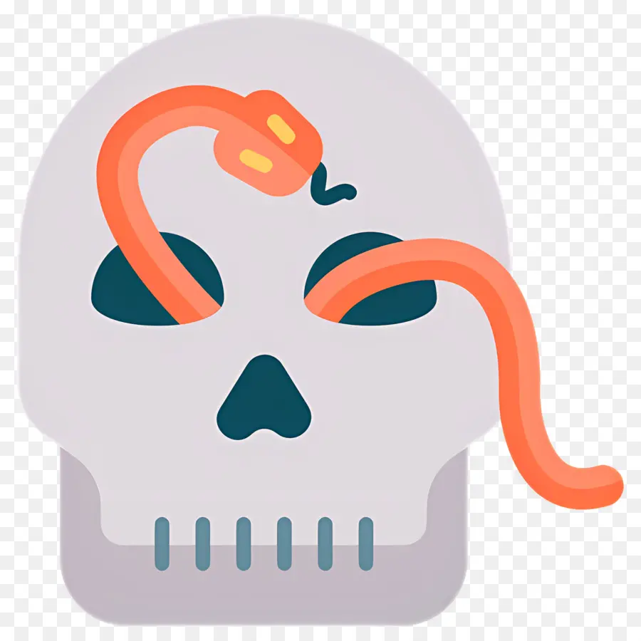 Cráneo De Serpiente，Calavera Con Serpiente PNG