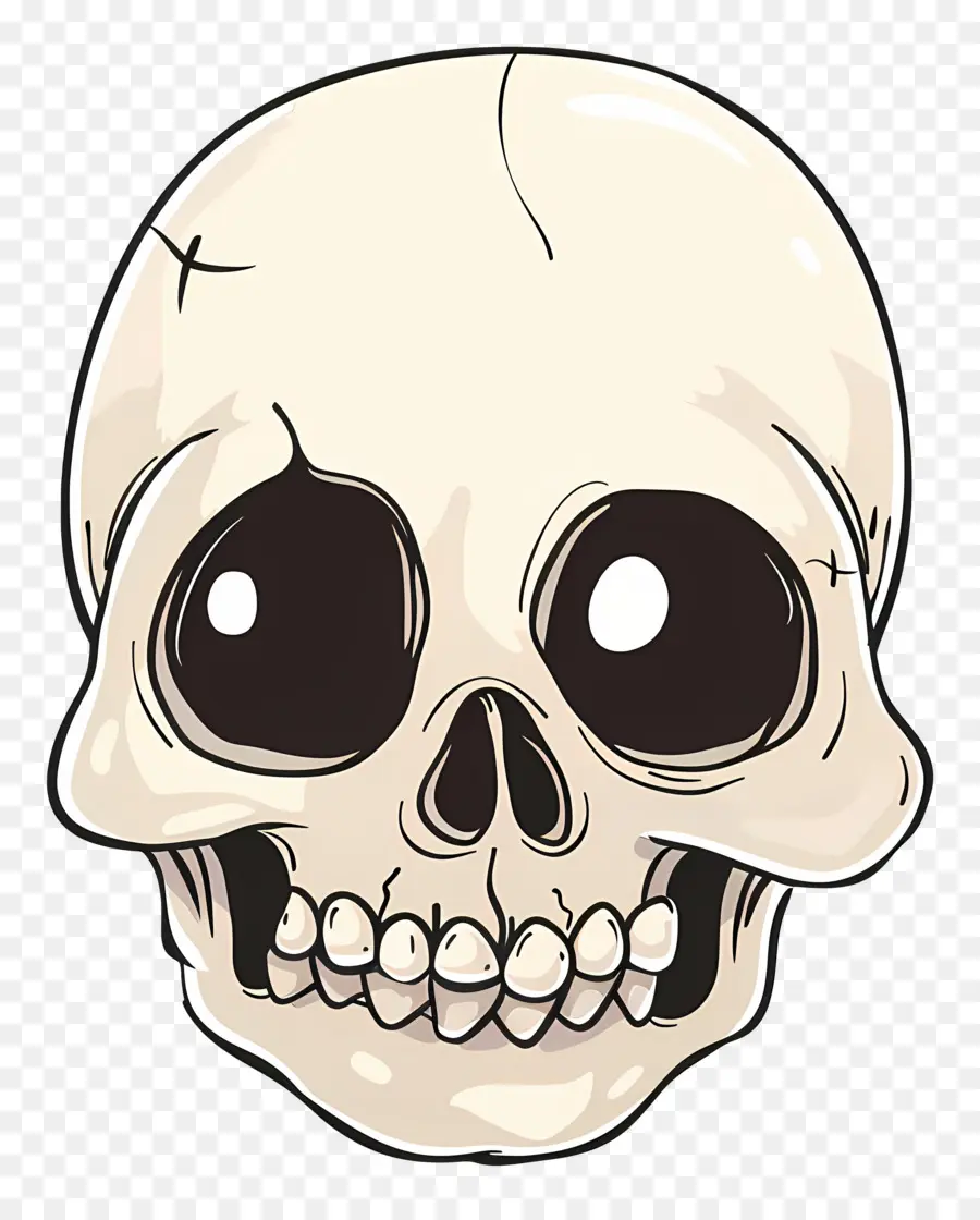 Calavera Aterradora，Cráneo PNG