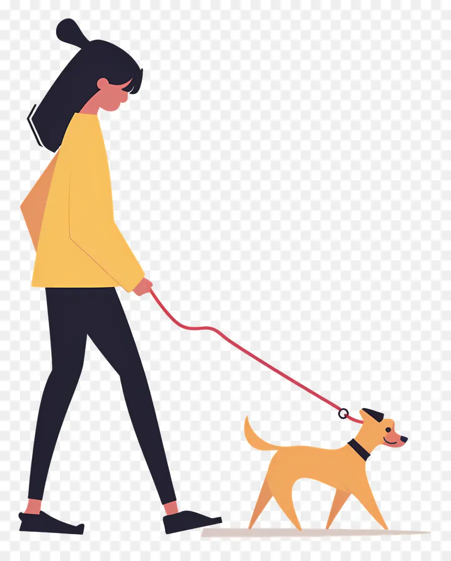 Mujer Paseando Perro，Chica Paseando Perro PNG