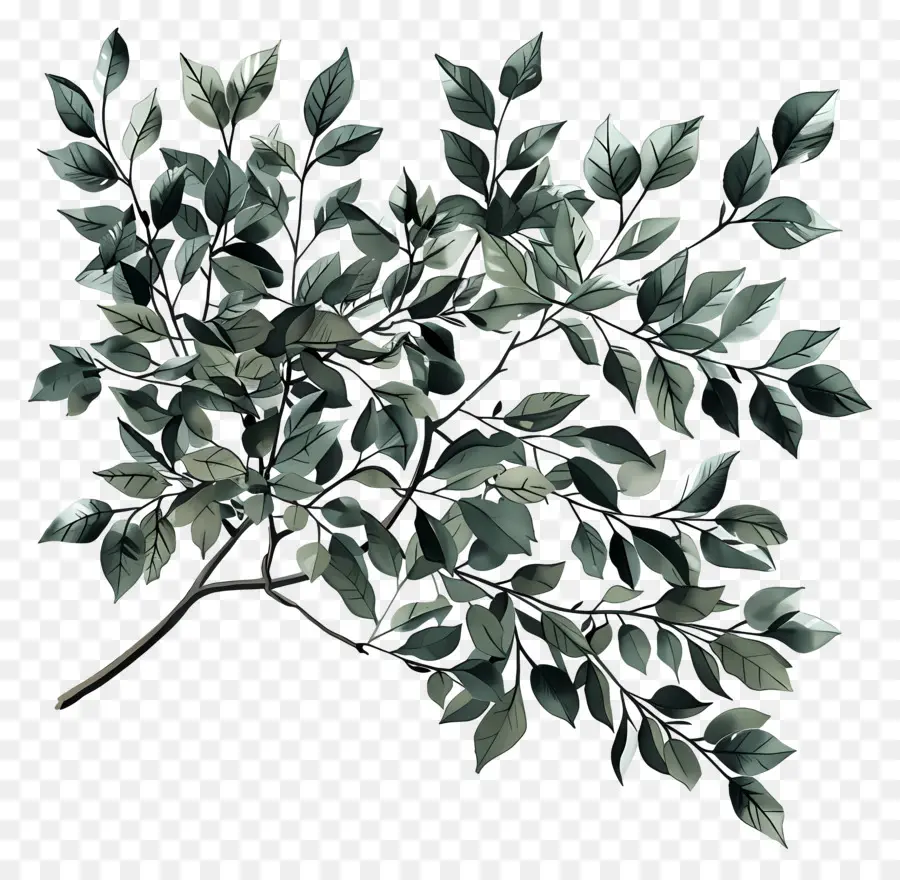 Follaje De árbol，Hojas Verdes PNG