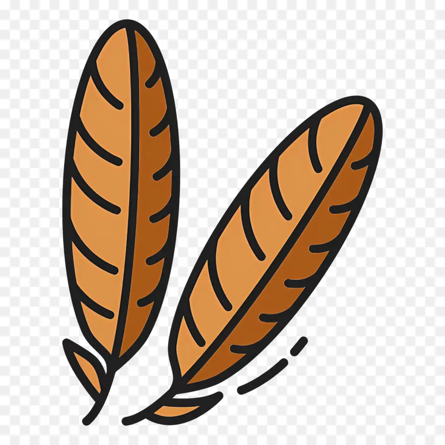 Pluma，Plumas Marrones PNG