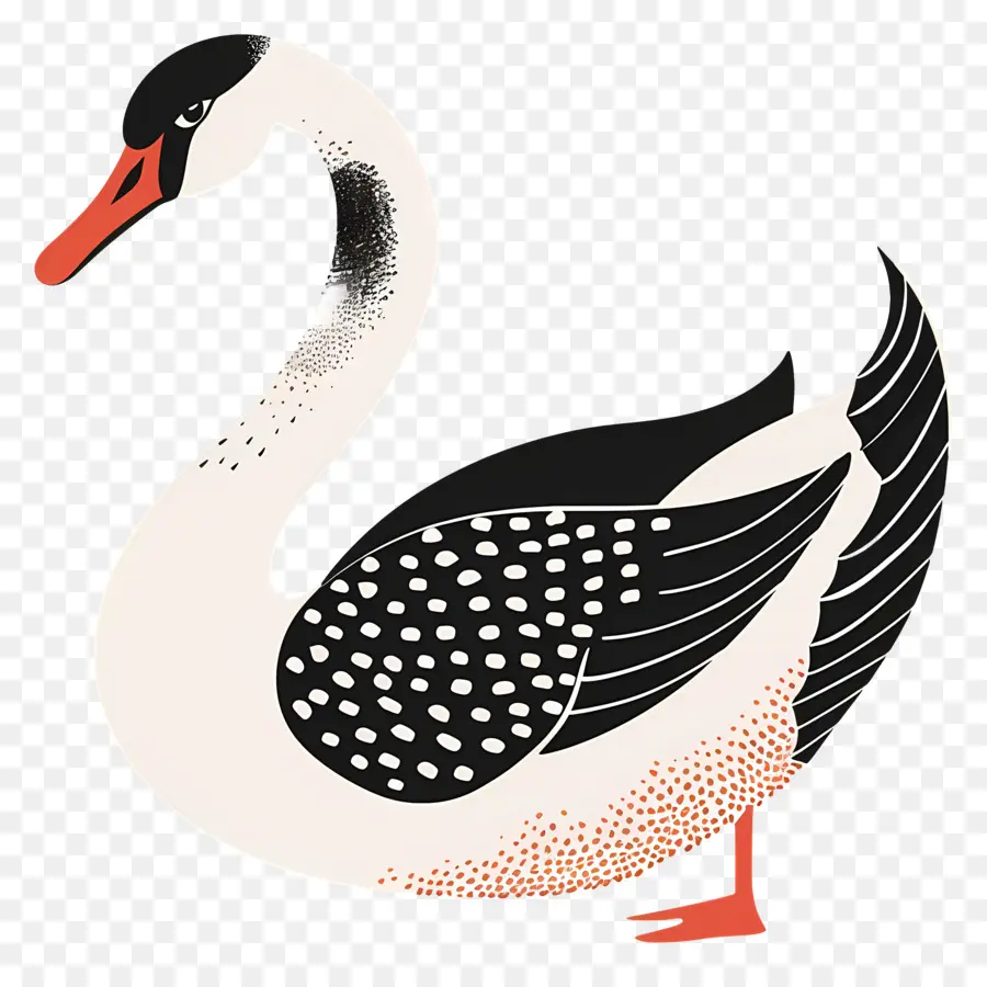 Cisne Blanco，Cisne PNG