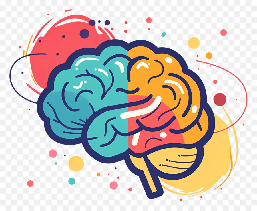 Cerebro Creativo，Cerebro PNG