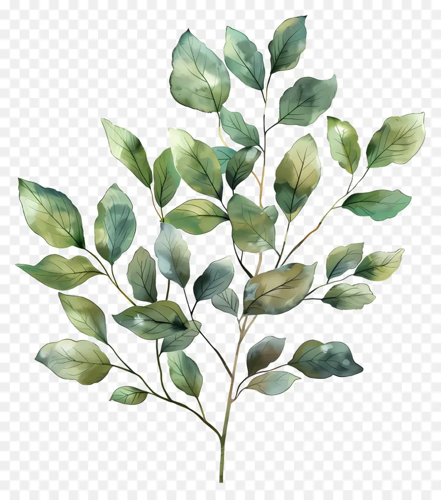 Follaje De árbol，Hojas Verdes PNG