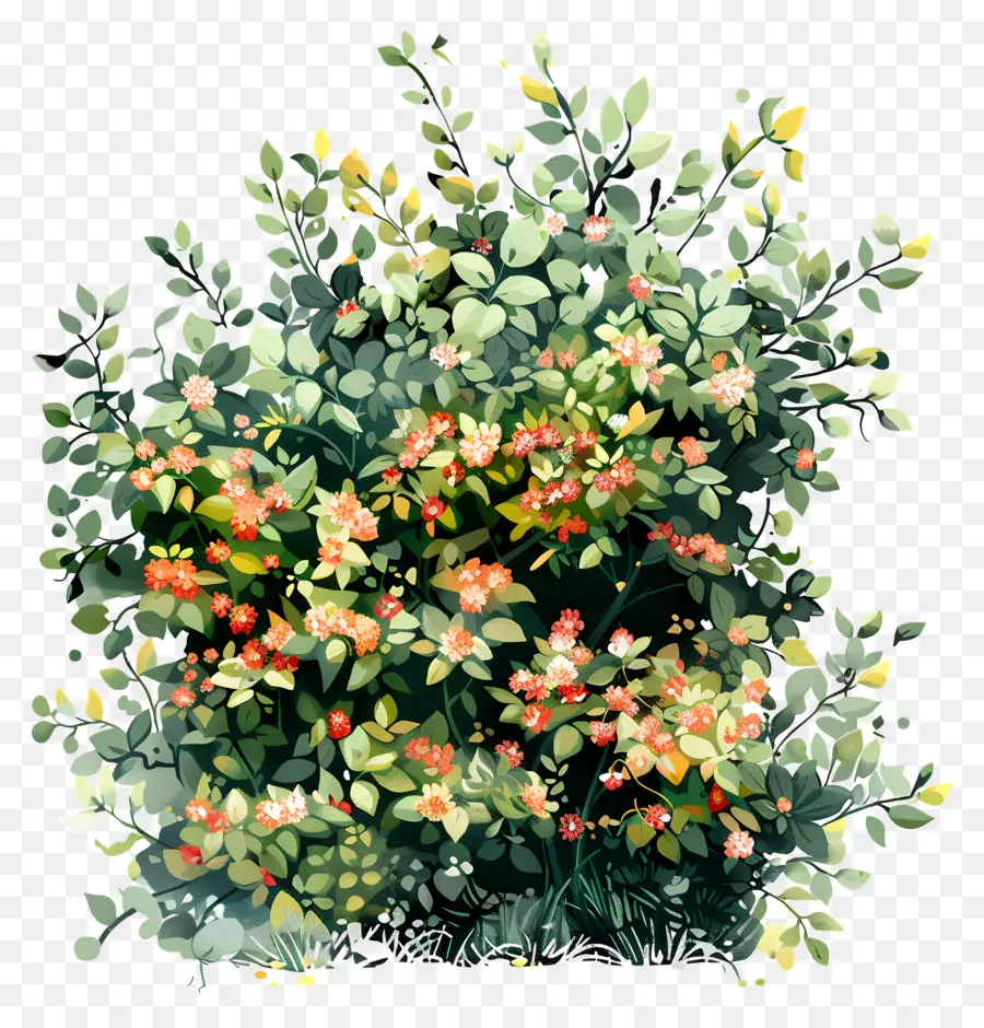 Arbusto Con Flores，Arbusto PNG