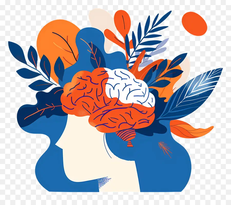 Cerebro Creativo，Cerebro PNG