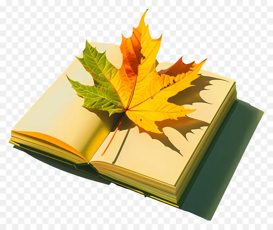 Hoja De Otoño En Libro，Libro Con Hoja PNG