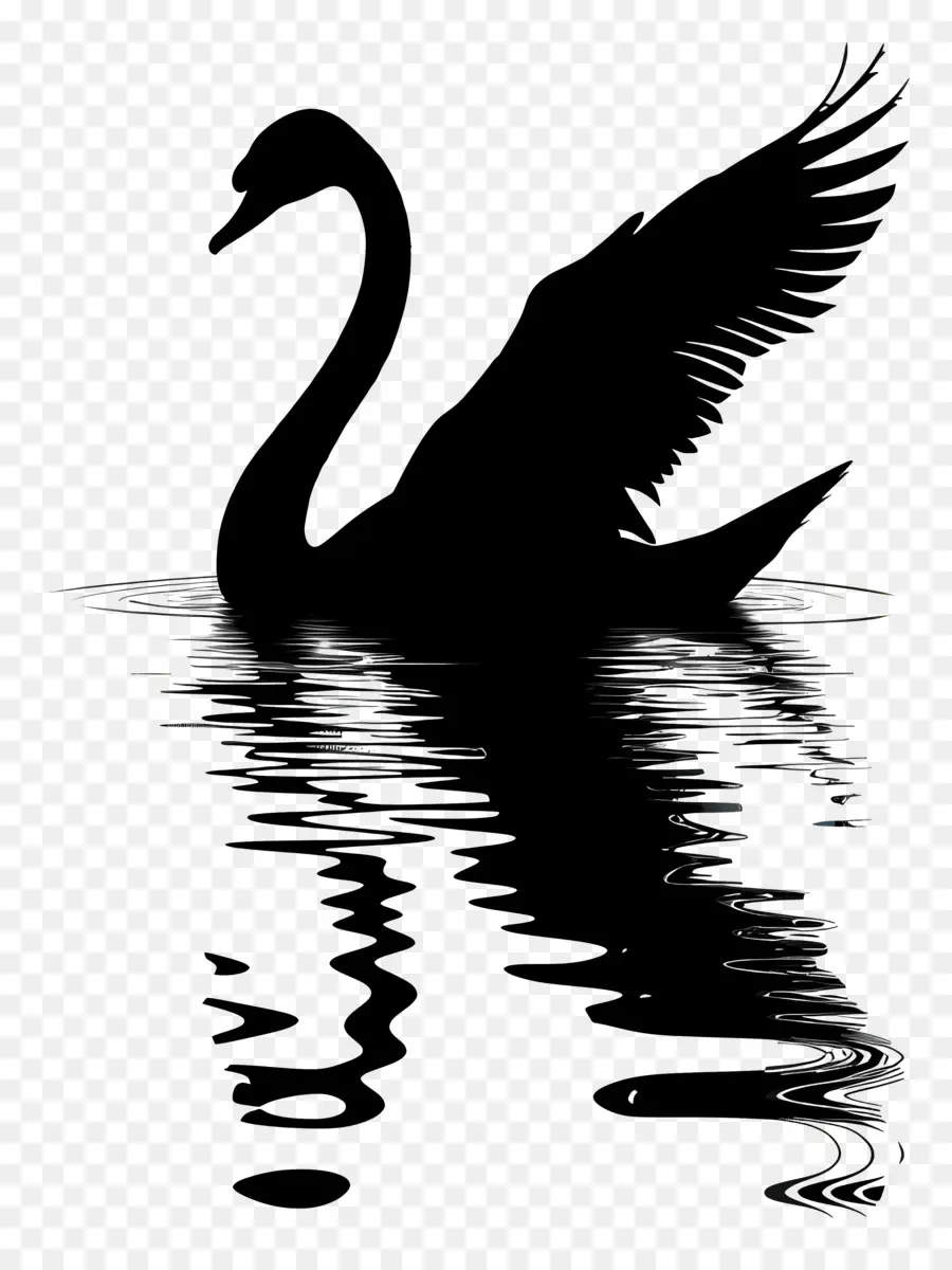 Silueta De Cisne，Cisne Negro PNG