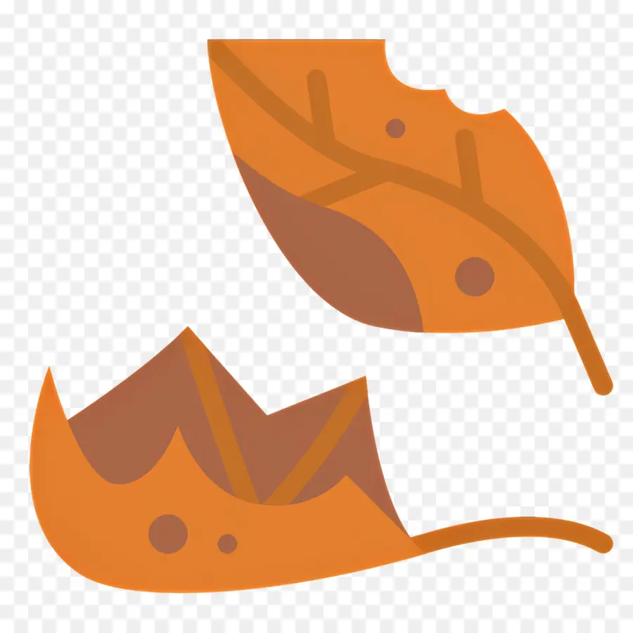 Hojas De Otoño，Caer PNG