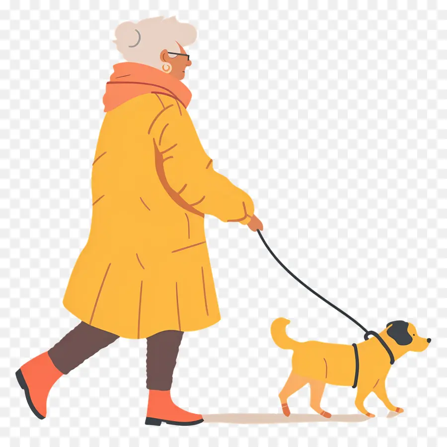 Anciana Paseando Perro，Mujer Paseando Perro PNG