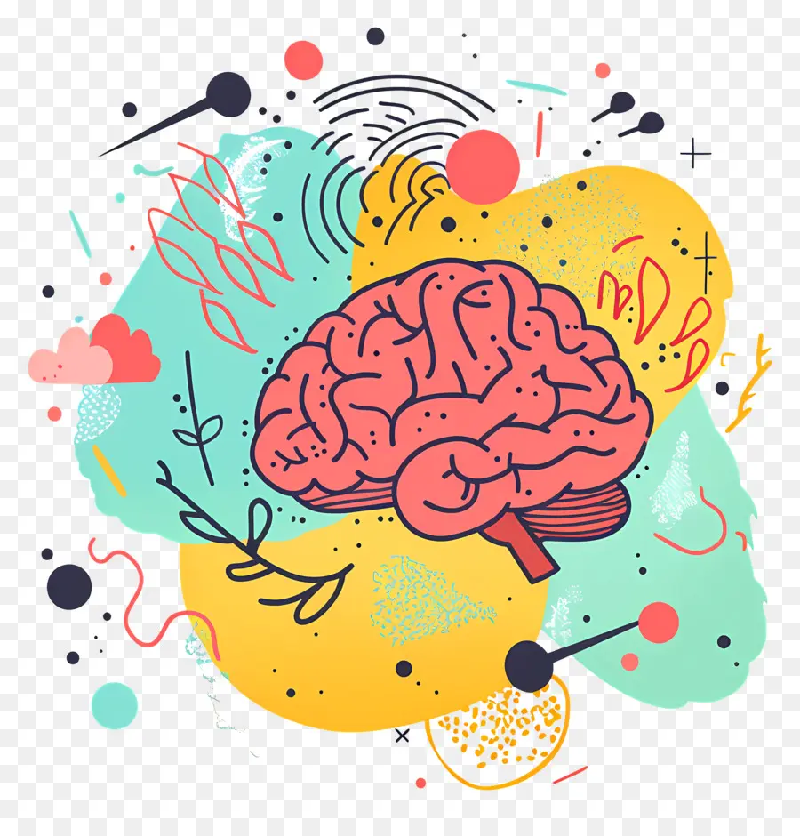 Cerebro Creativo，Cerebro PNG