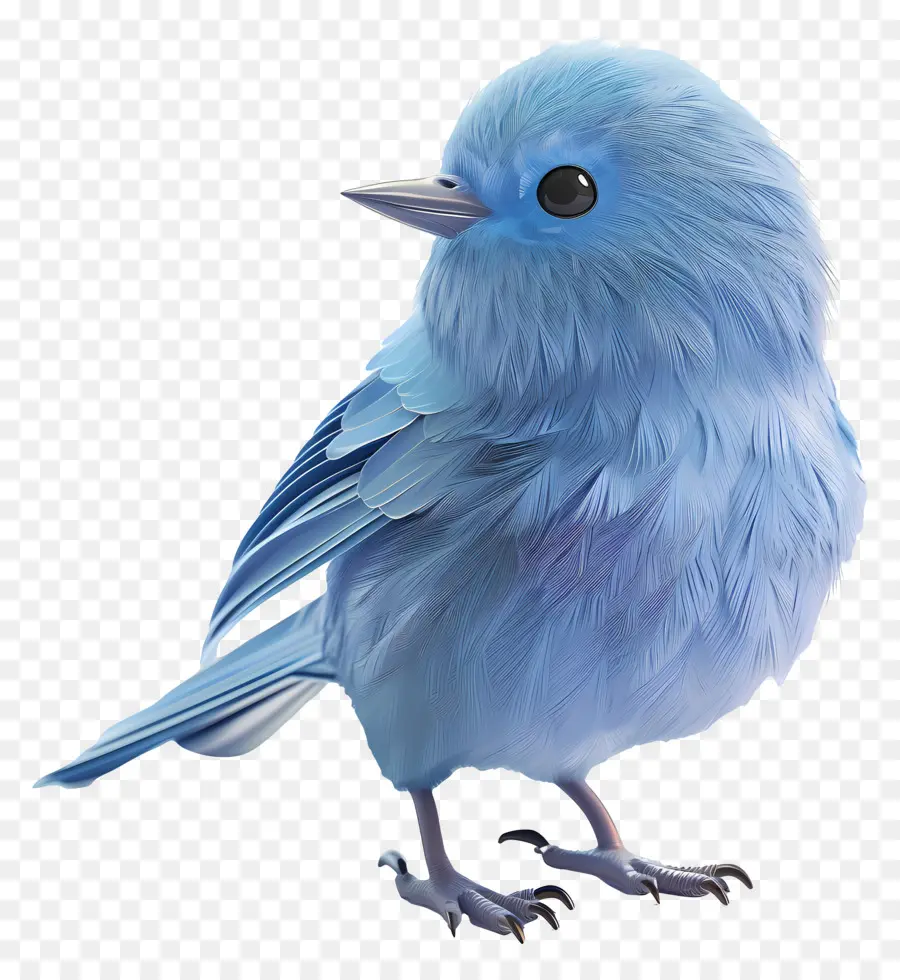 Pájaro Azul，Plumas PNG