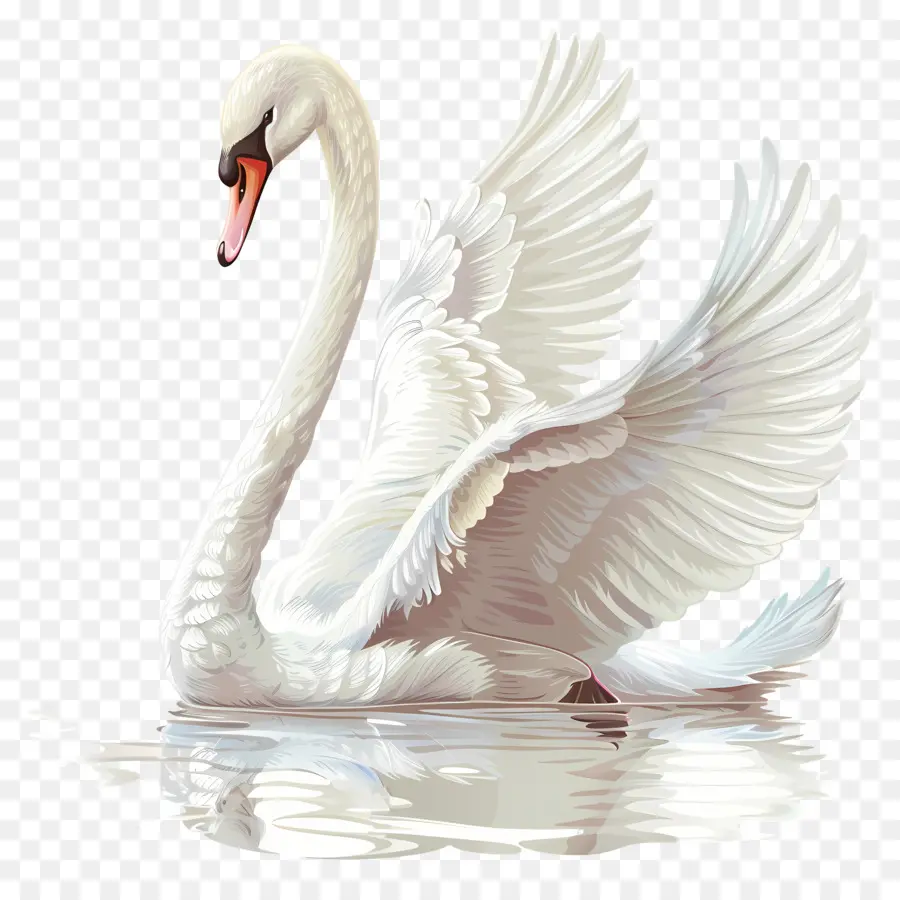 Cisne Blanco，Pájaro PNG