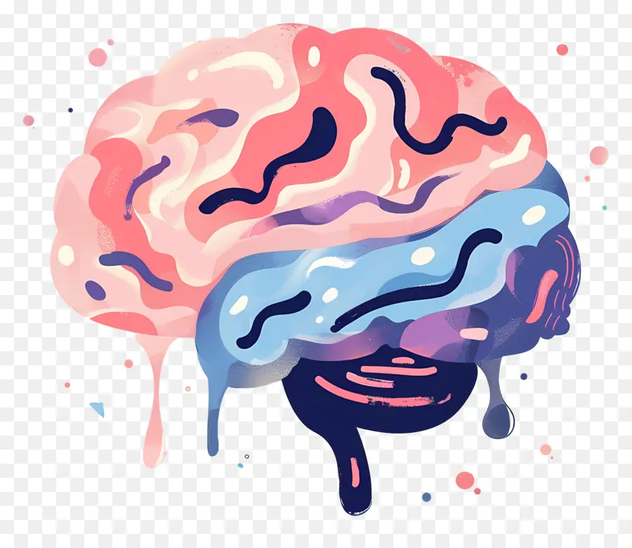 Cerebro Creativo，Cerebro PNG