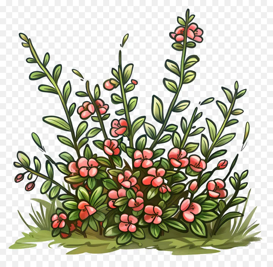 Arbusto Con Flores，Arbusto De Flores PNG