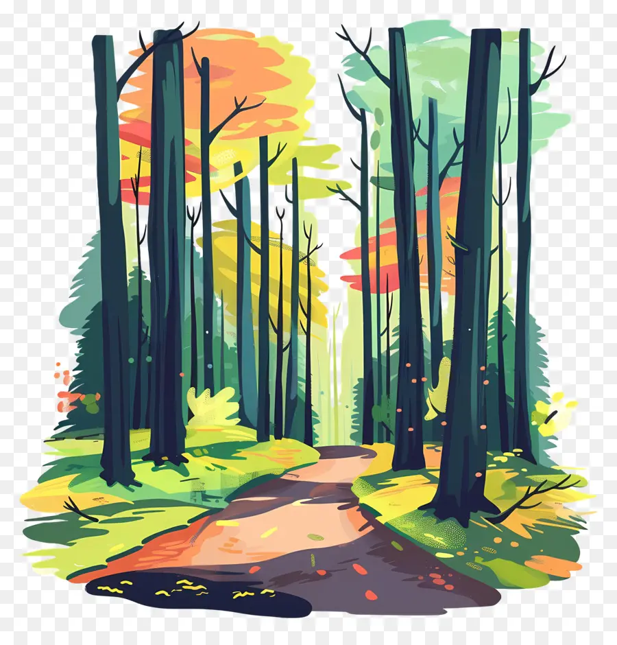 Camino Del Bosque，Bosque Colorido PNG