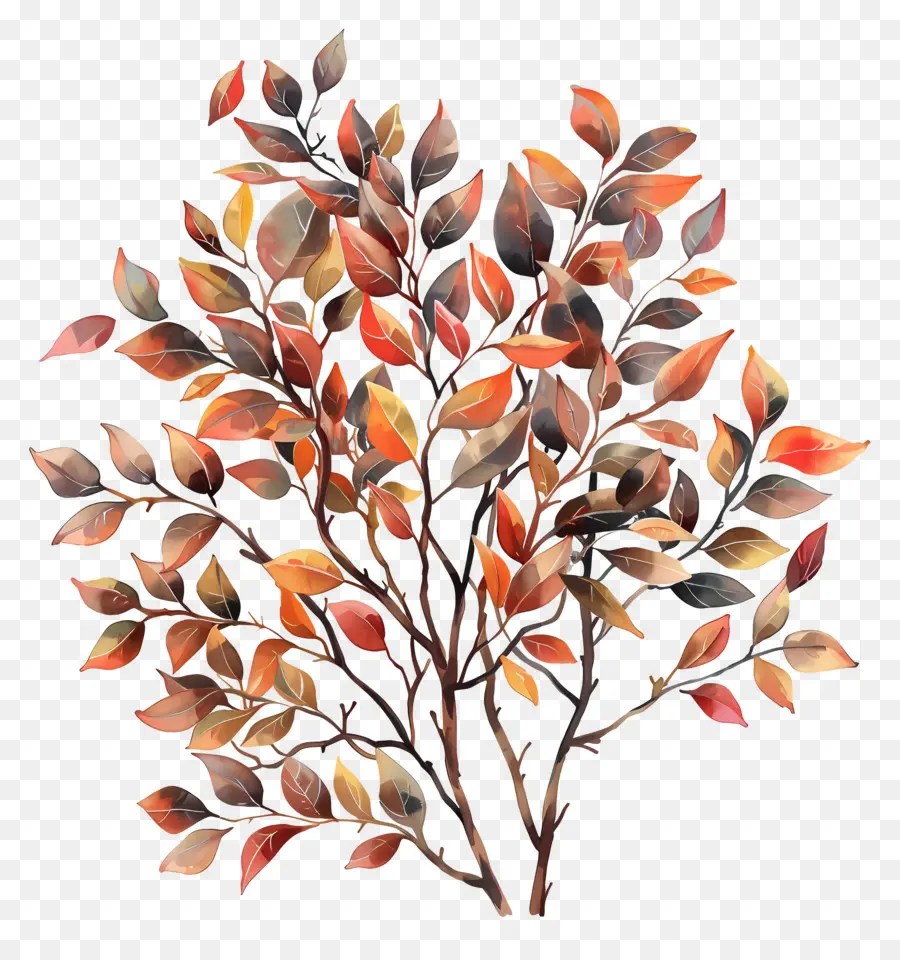 Follaje De árbol，Hojas De Otoño PNG