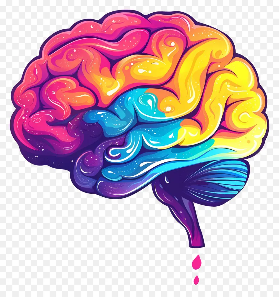 Cerebro Creativo，Cerebro PNG