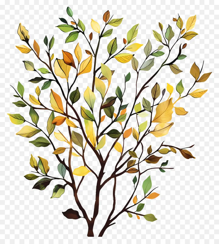 Follaje De árbol，Árbol PNG