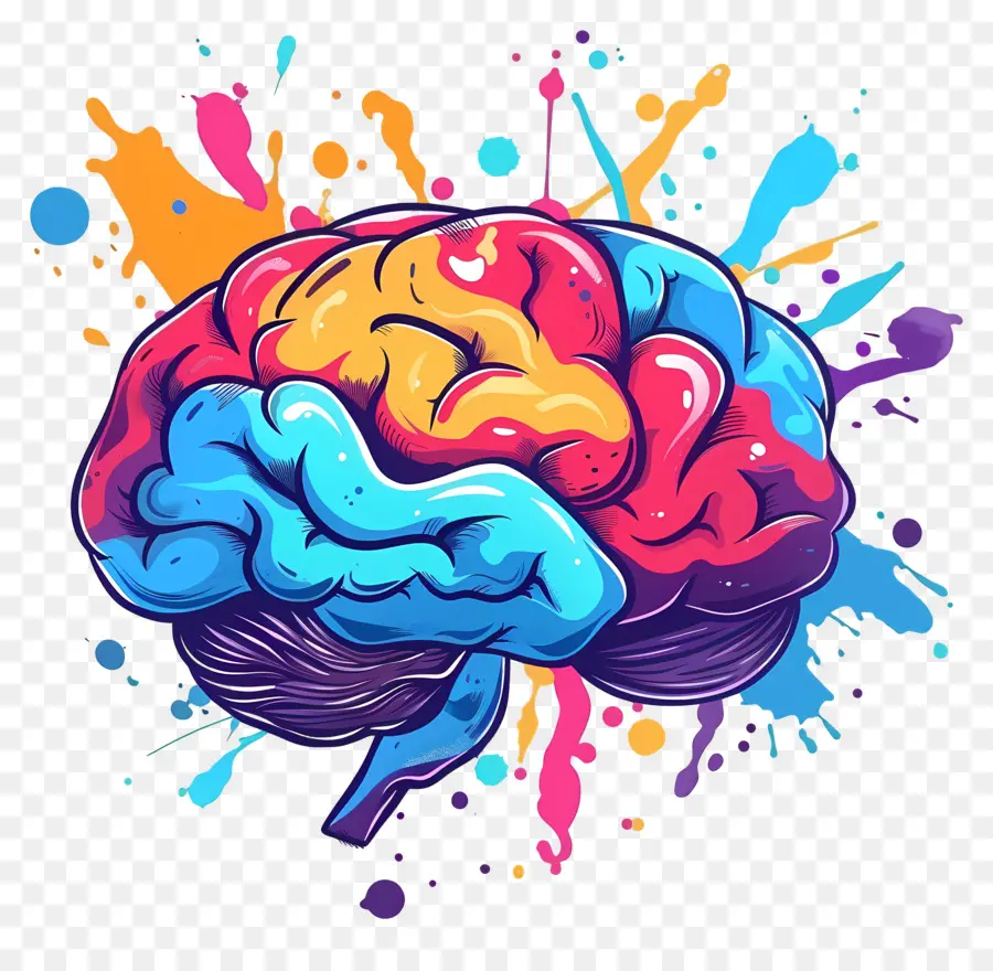 Cerebro Creativo，Cerebro PNG