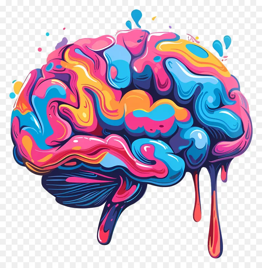 Cerebro Creativo，Cerebro PNG