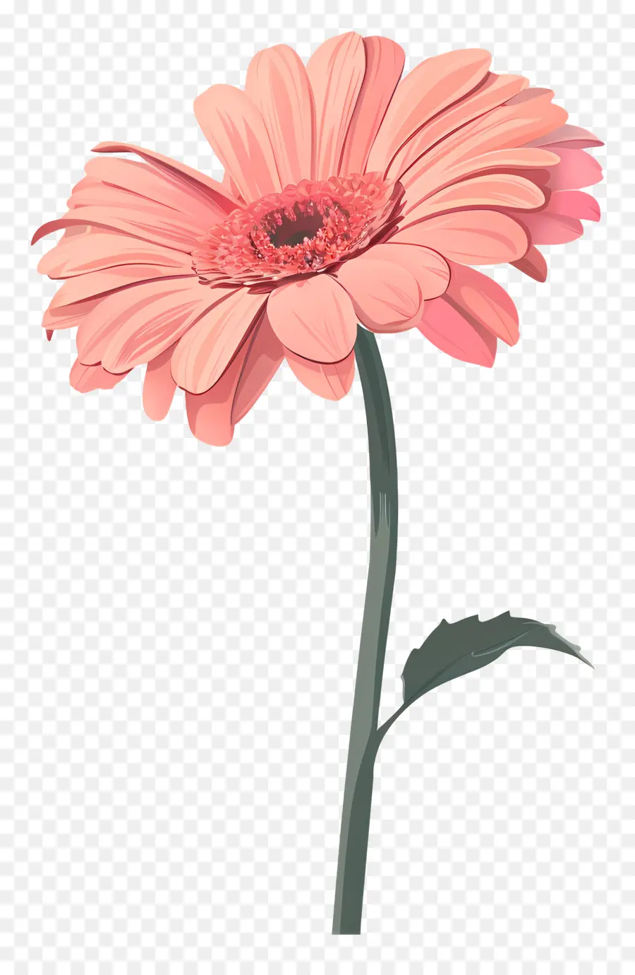 Gerbera Rosa，Flor Rosa PNG