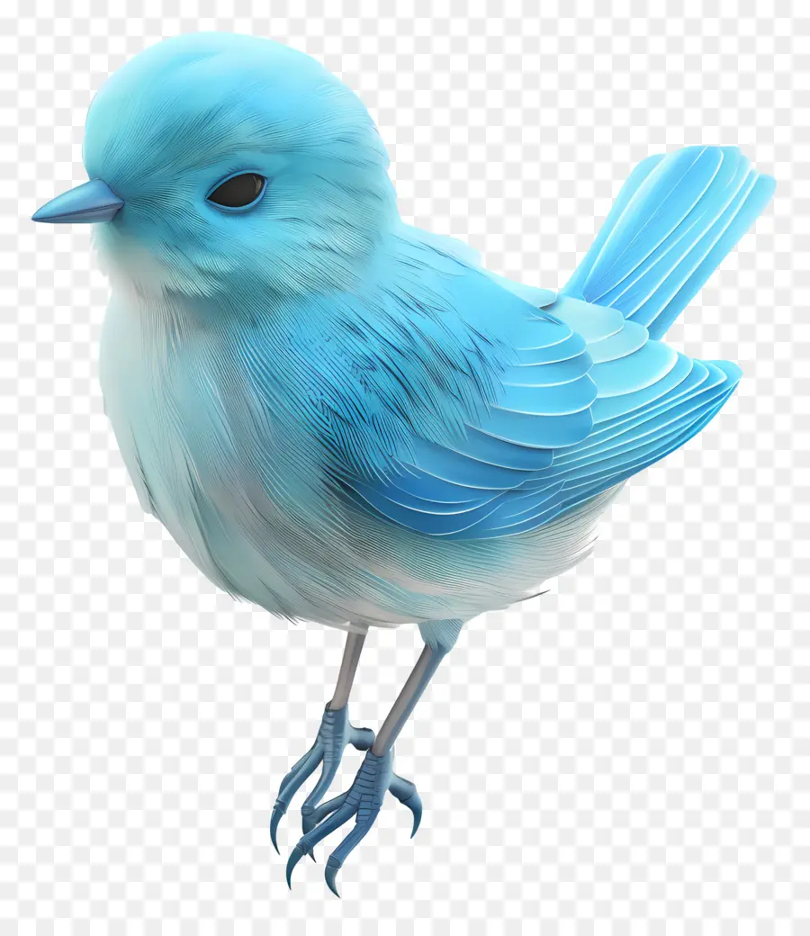 Pájaro Azul，Plumas PNG