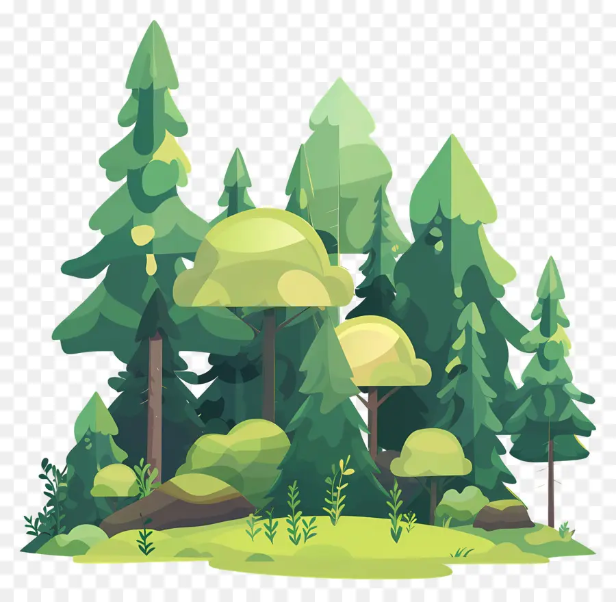 Bosque Denso，Bosque PNG