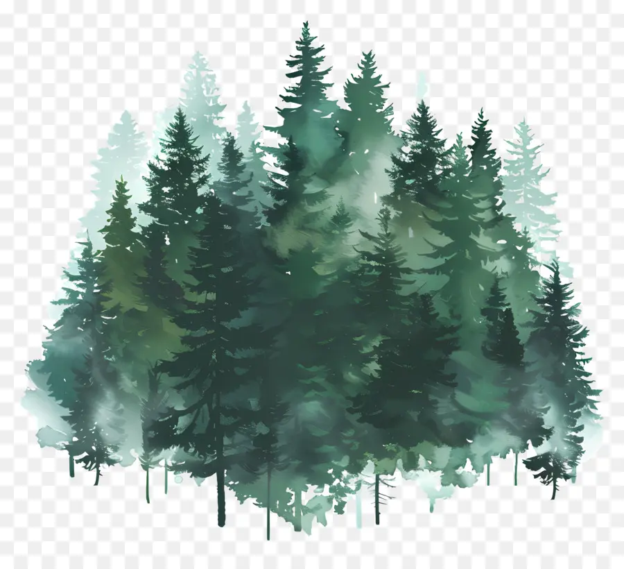 Bosque Denso，Bosque PNG