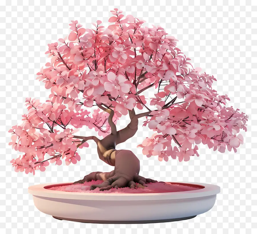 árbol Bonsái Rosa，Árbol Bonsái Rosa PNG