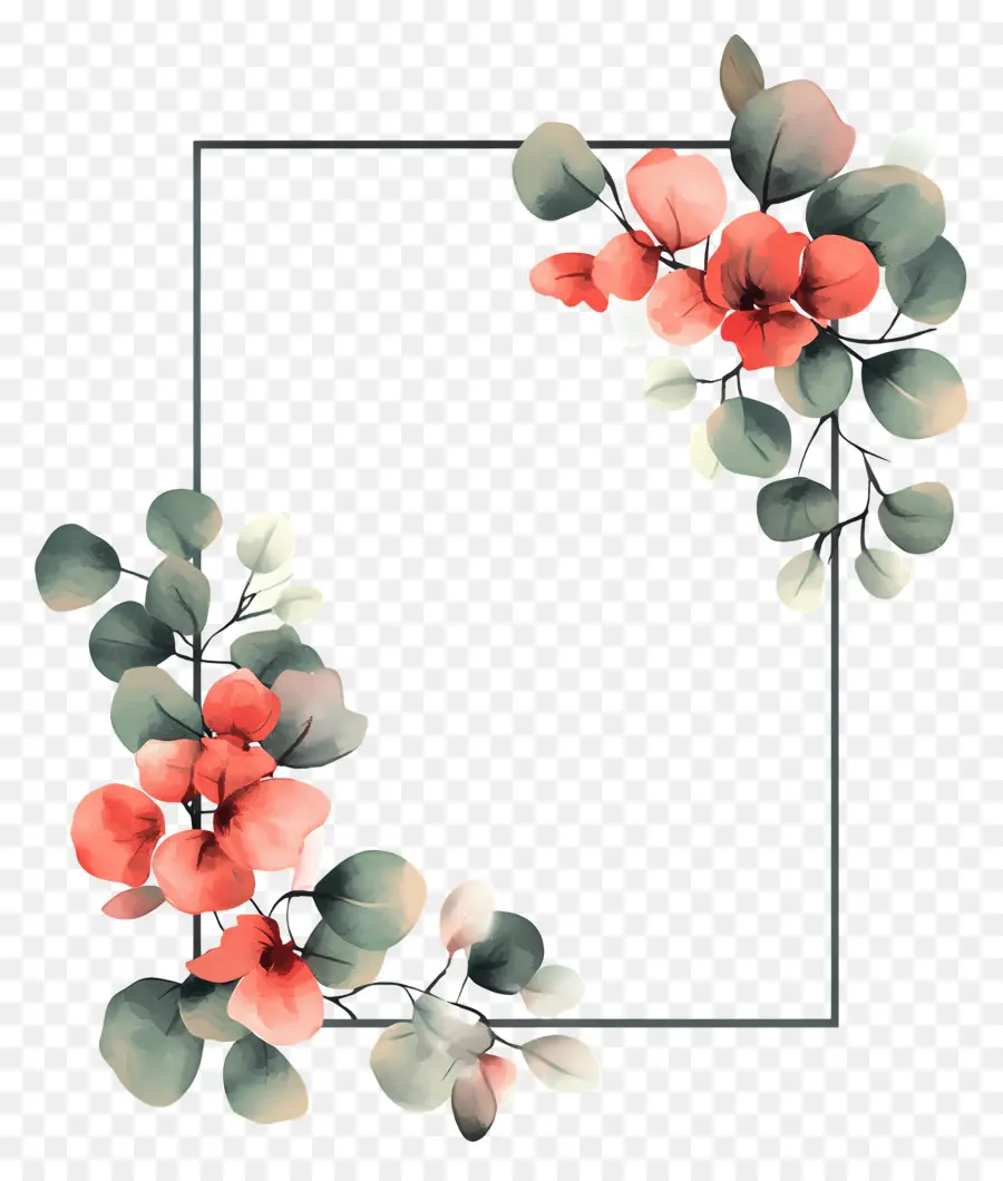 Marco Simple Rectangular，Marco Floral PNG