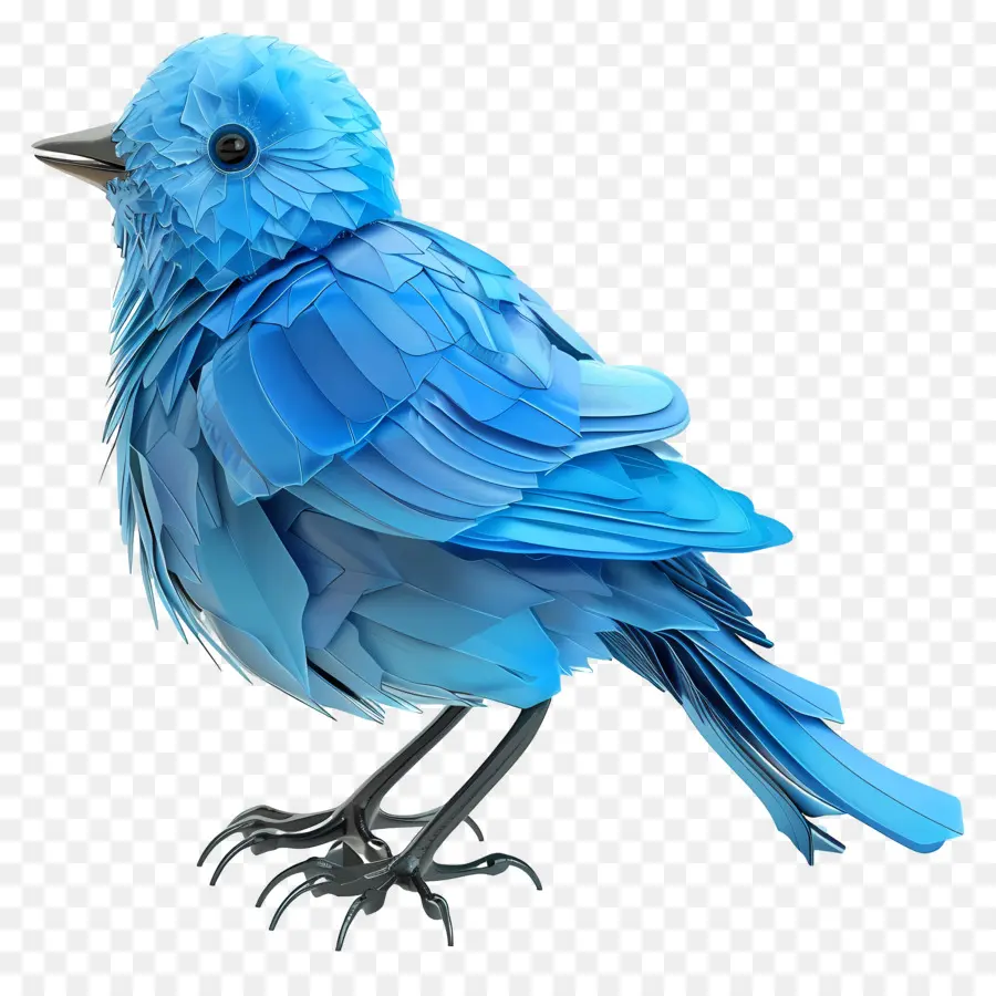 Pájaro Azul，Plumas PNG