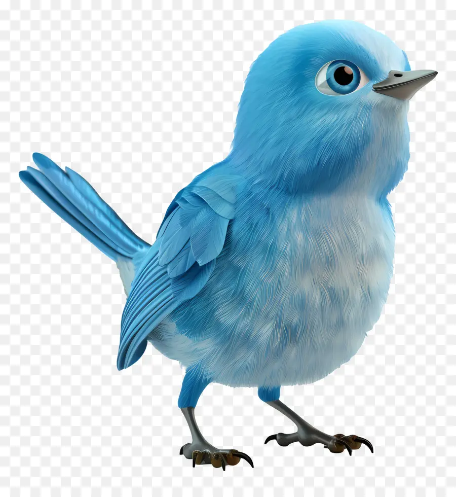 Pájaro Azul，Lindo PNG