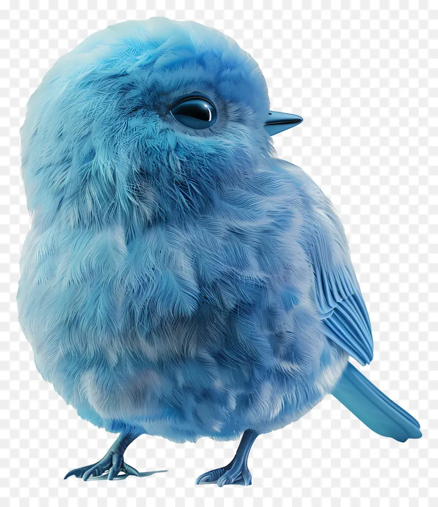 Pájaro Azul，Lindo PNG