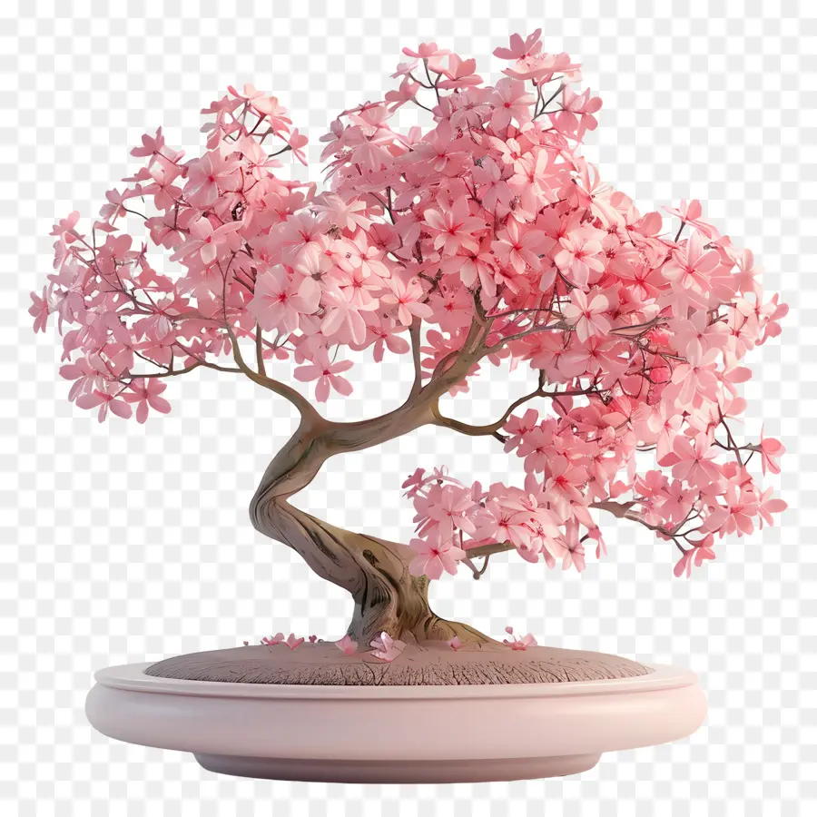 árbol Bonsái Rosa，Árbol Bonsái Rosa PNG