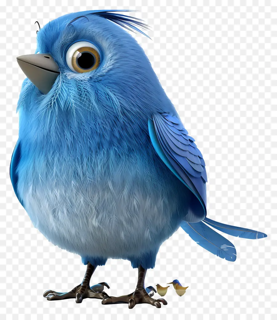 Pájaro Azul，Lindo PNG