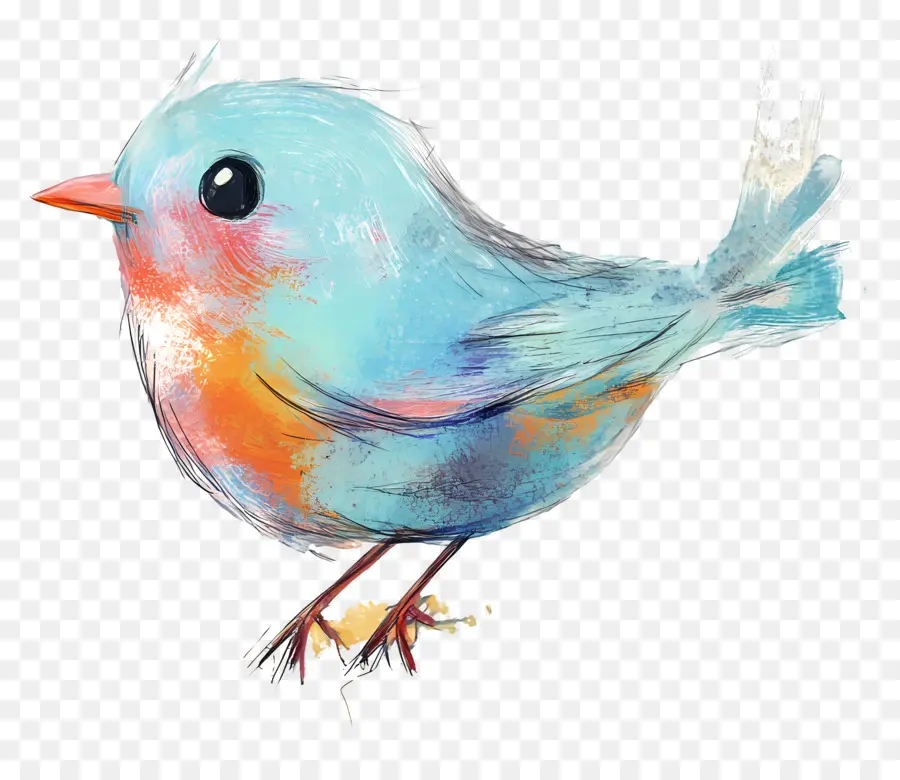 Pájaro Pastel，Pájaro Colorido PNG