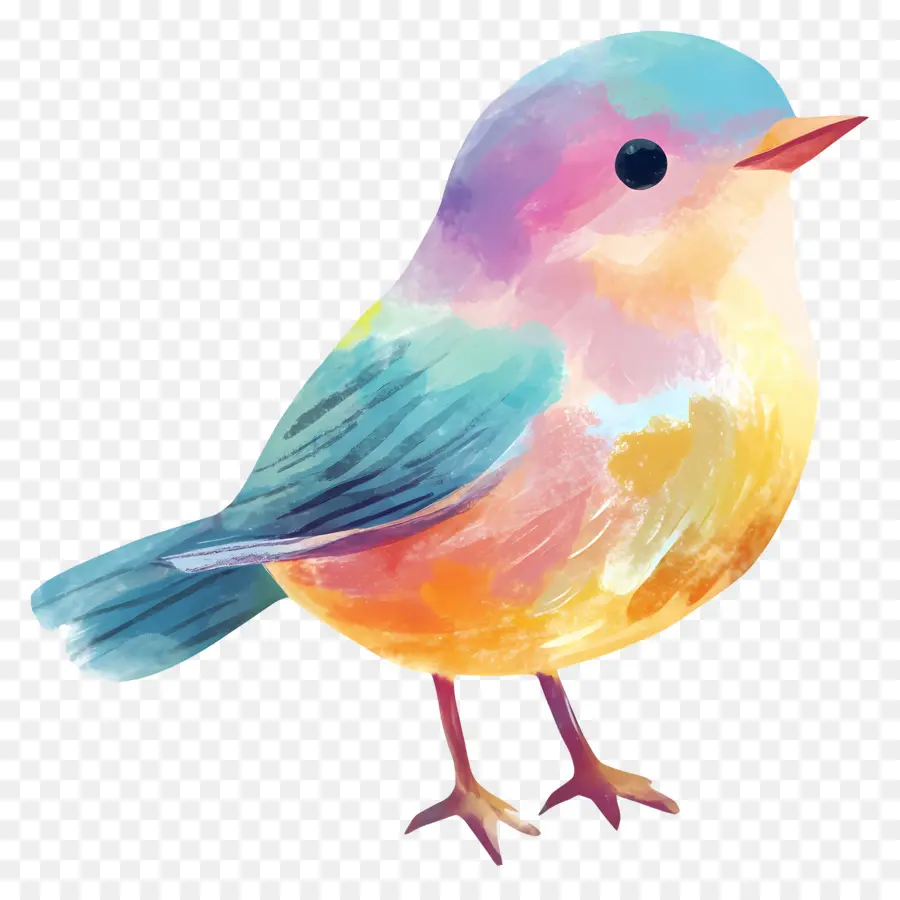 Pájaro Pastel，Pájaro Colorido PNG