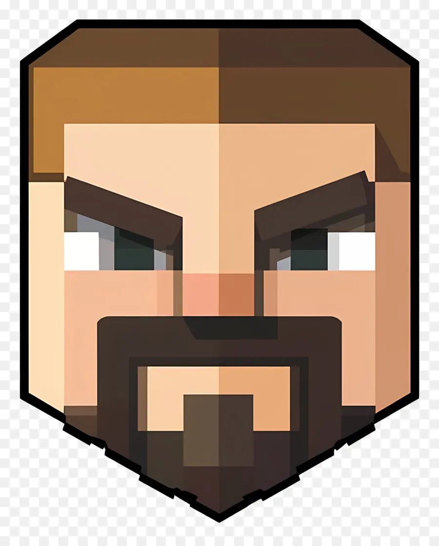 Minecraft，Cara Pixelada PNG