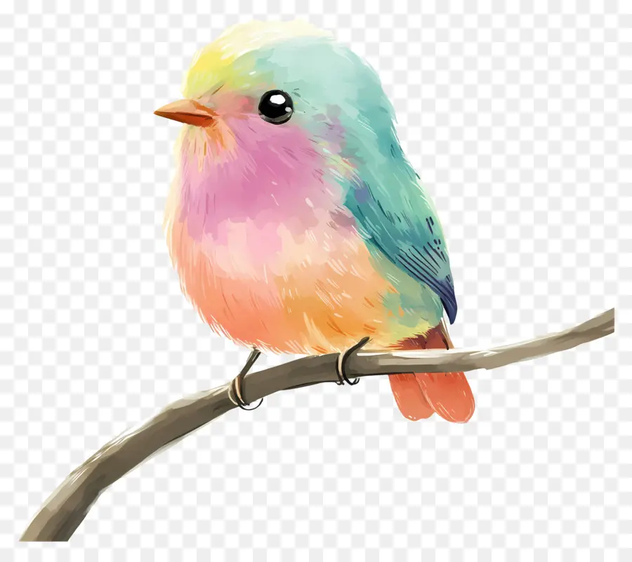 Pájaro Pastel，Pájaro Azul Y Naranja PNG