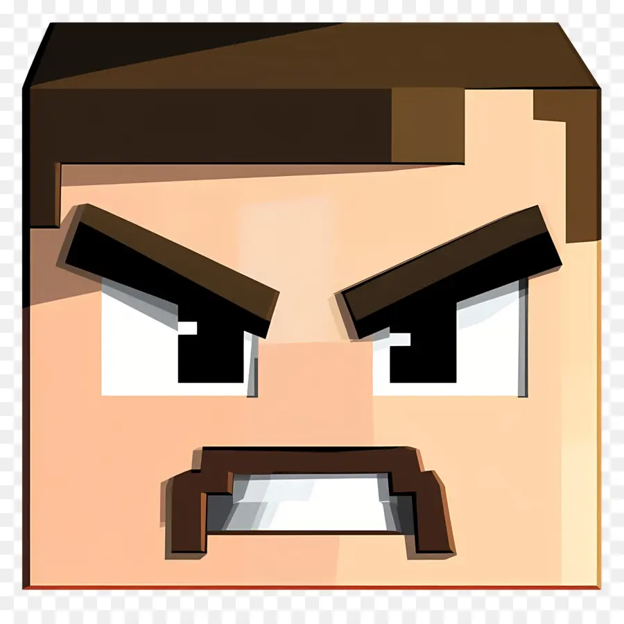 Minecraft，Cara Enojada PNG