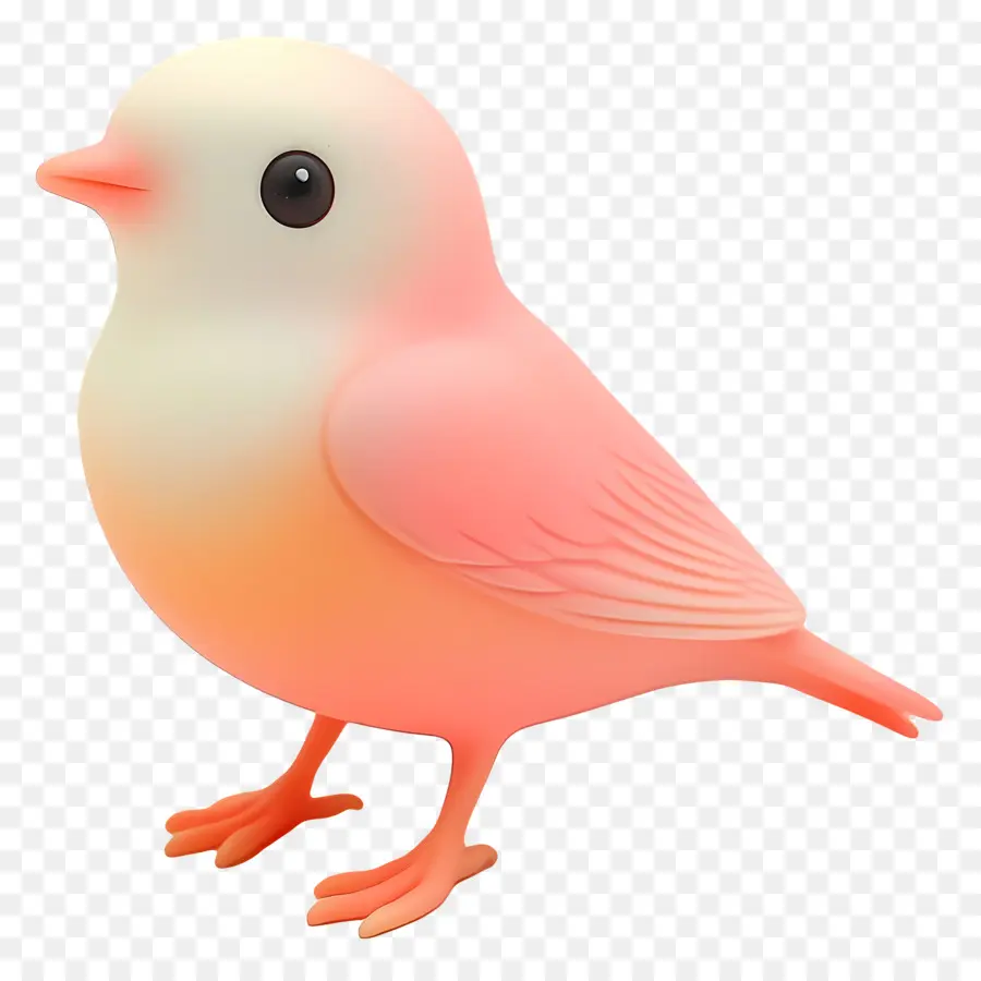 Pájaro Pastel，Pájaro Colorido PNG