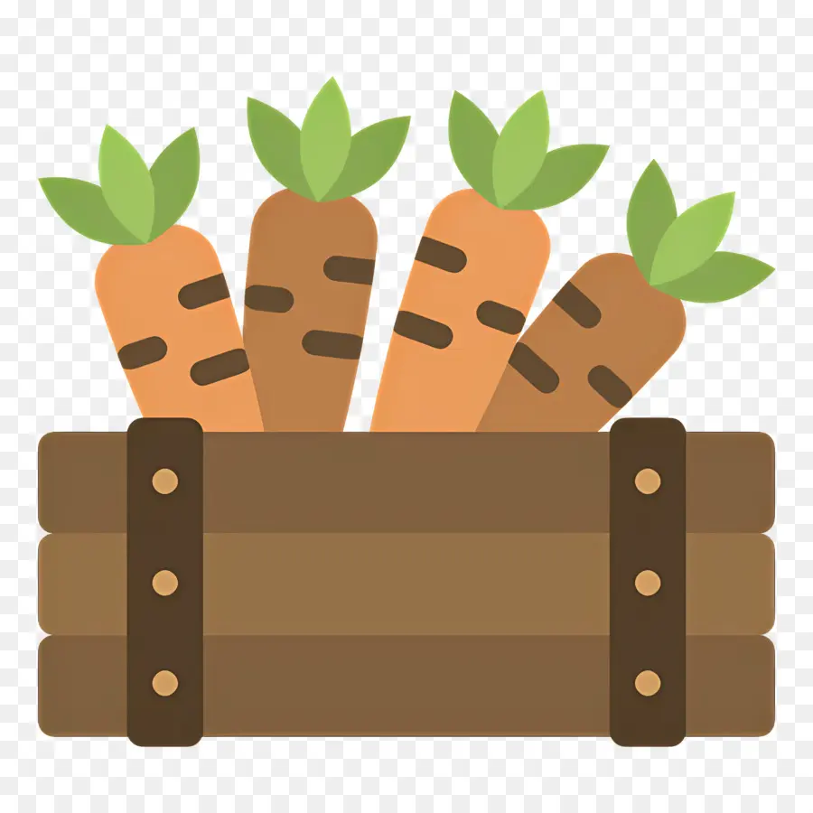 Caja De Cosecha，Zanahorias PNG