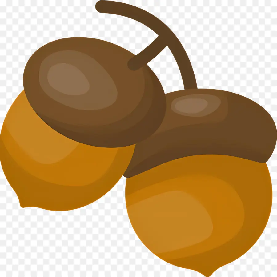 Bellotas，Cojones PNG